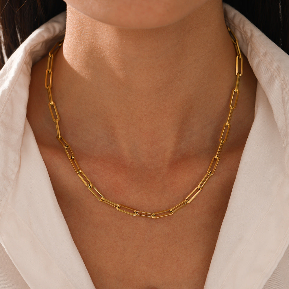 Luxurious Gold & Silver Necklace