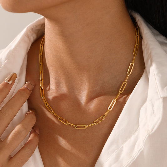 Luxurious Gold & Silver Necklace